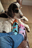United Oddsocks Womens Hotdog Size 4 - 8 UK - Madisons and Co